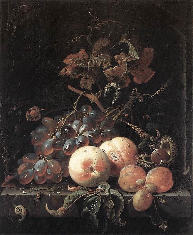 MIGNON, Abraham Still-Life with Fruits sg Norge oil painting art
